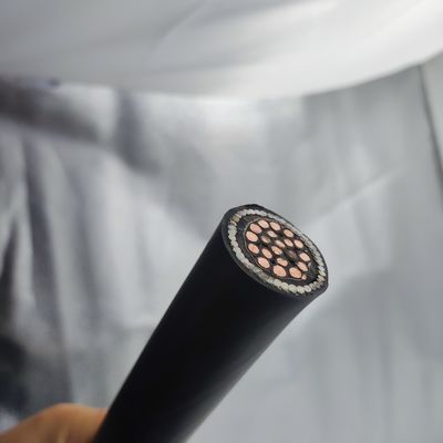 Harga yang pantas Kabel instrumentasi 300/500V 20Cores CU/MGT/XLPE/OS/FR/LSZH/GSWA/LSZH 20х2,5 On line